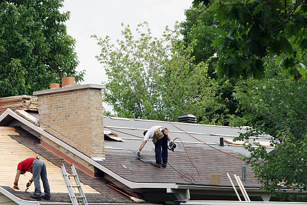 Best Roof Gutter Cleaning  in Henryville, IN